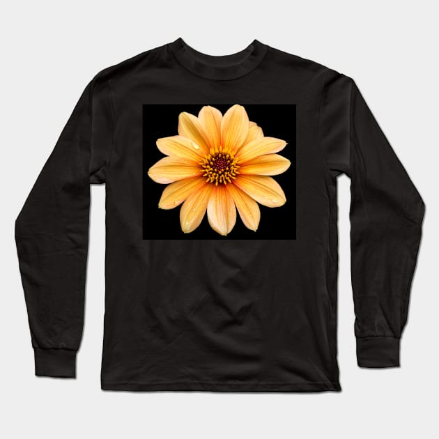 Orange Flowering Dahlia - Small Flowers Long Sleeve T-Shirt by Russell102